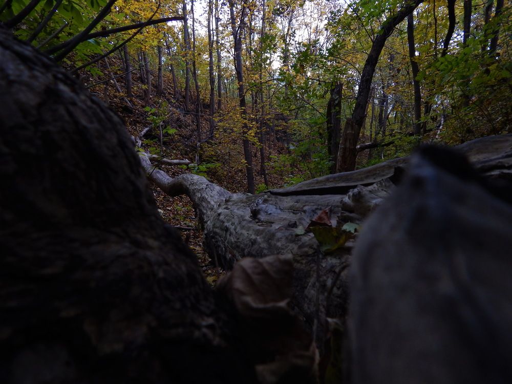 Photograph by Дмитрий Сало