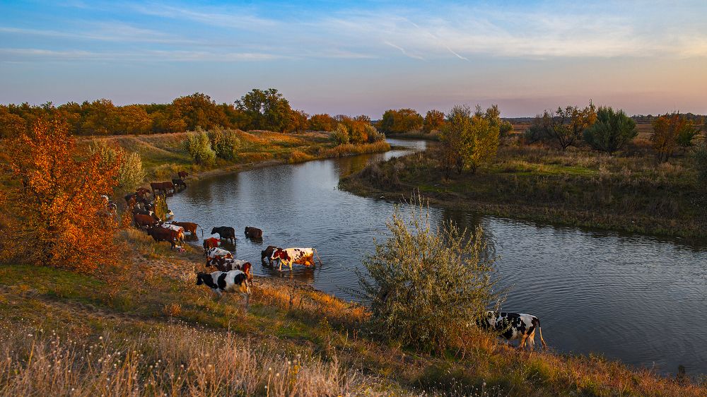 Photograph by Александр Спиридонов
