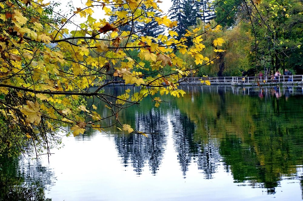 Фотография автора Dmitry