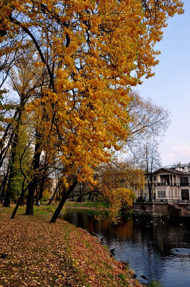 Photograph by Евгений Захаров