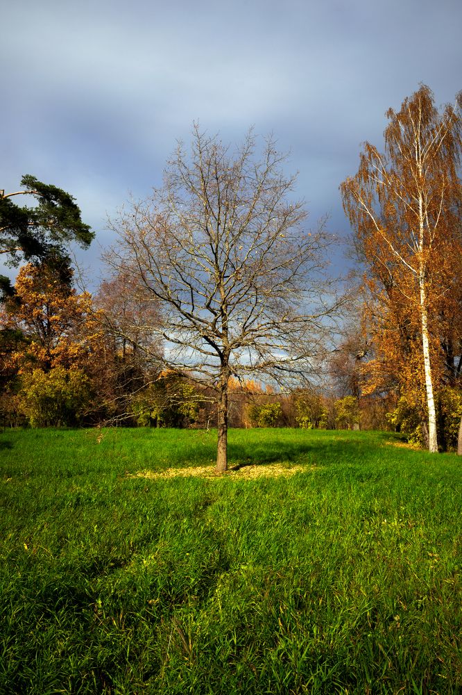 Photograph by Рут Андрей