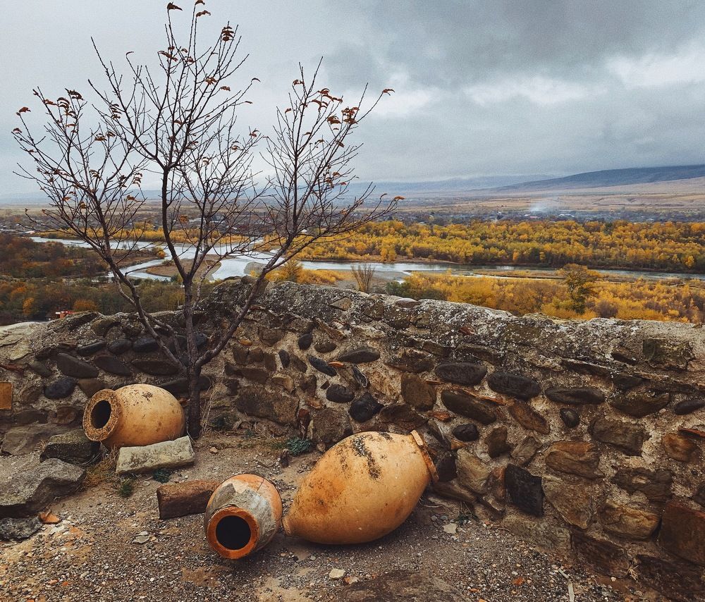 Фотография автора Елена Шилина