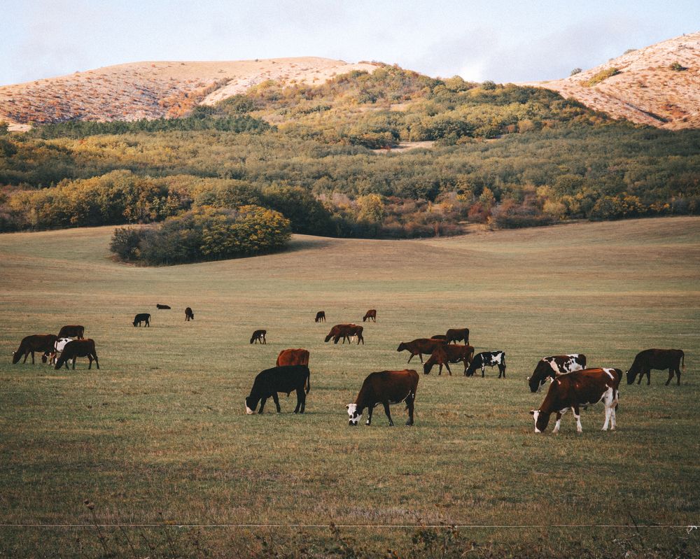 Photograph by Никита Зыков