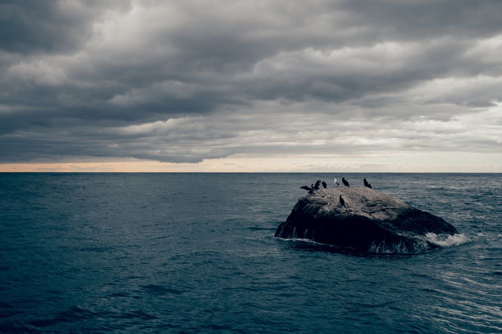 Photograph by Никита Зыков