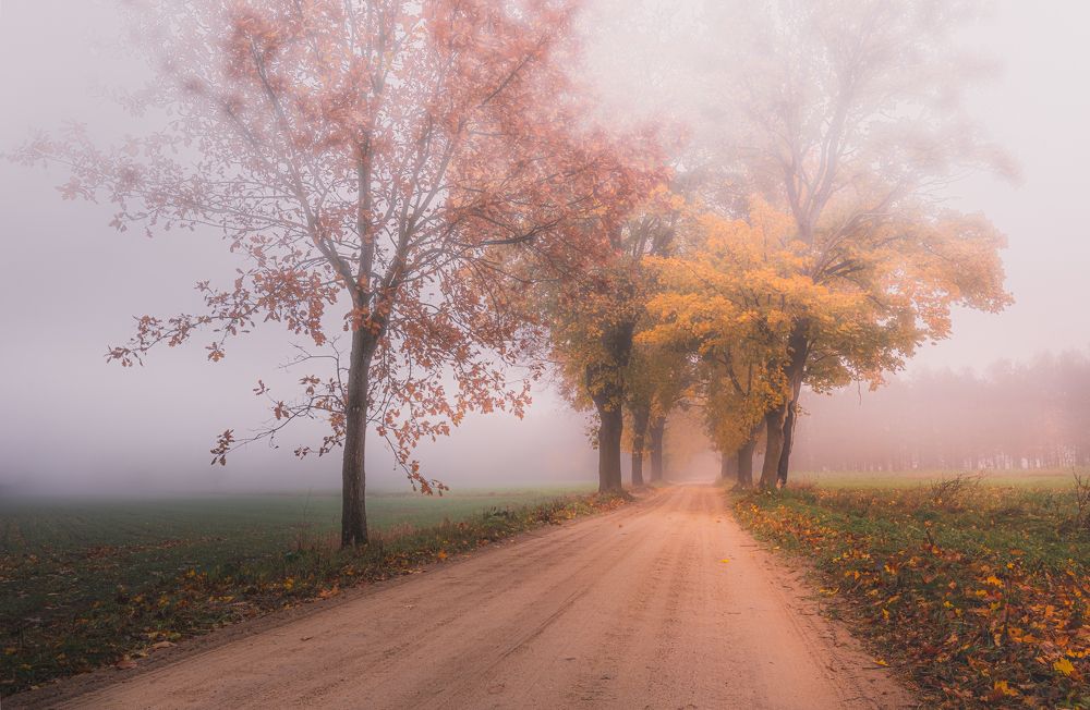 Photograph by Dariusz Budyta