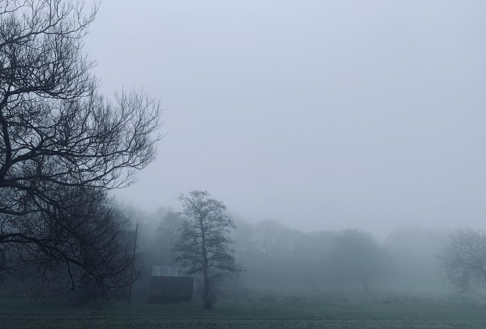 Photograph by Maria Dzene