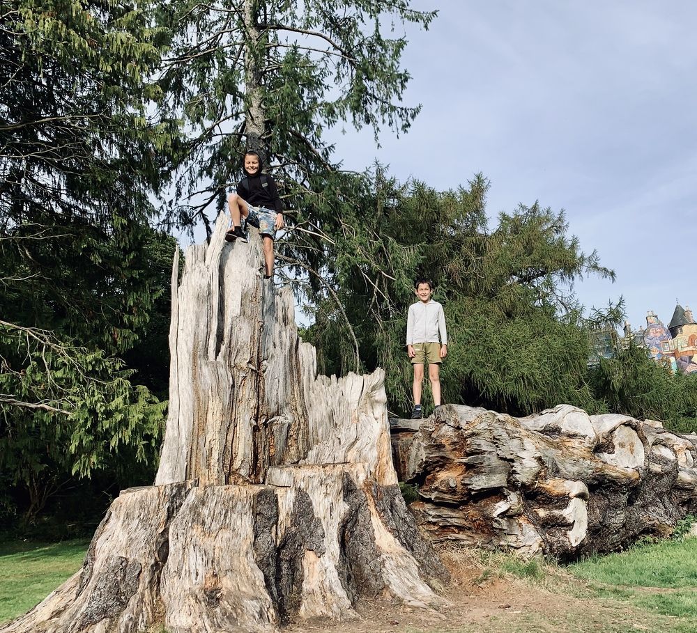 Photograph by Maria Dzene