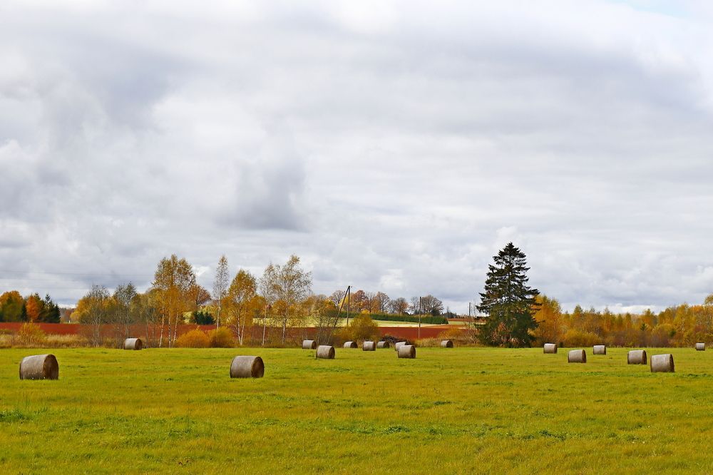 Фотография автора Сергей Барановский