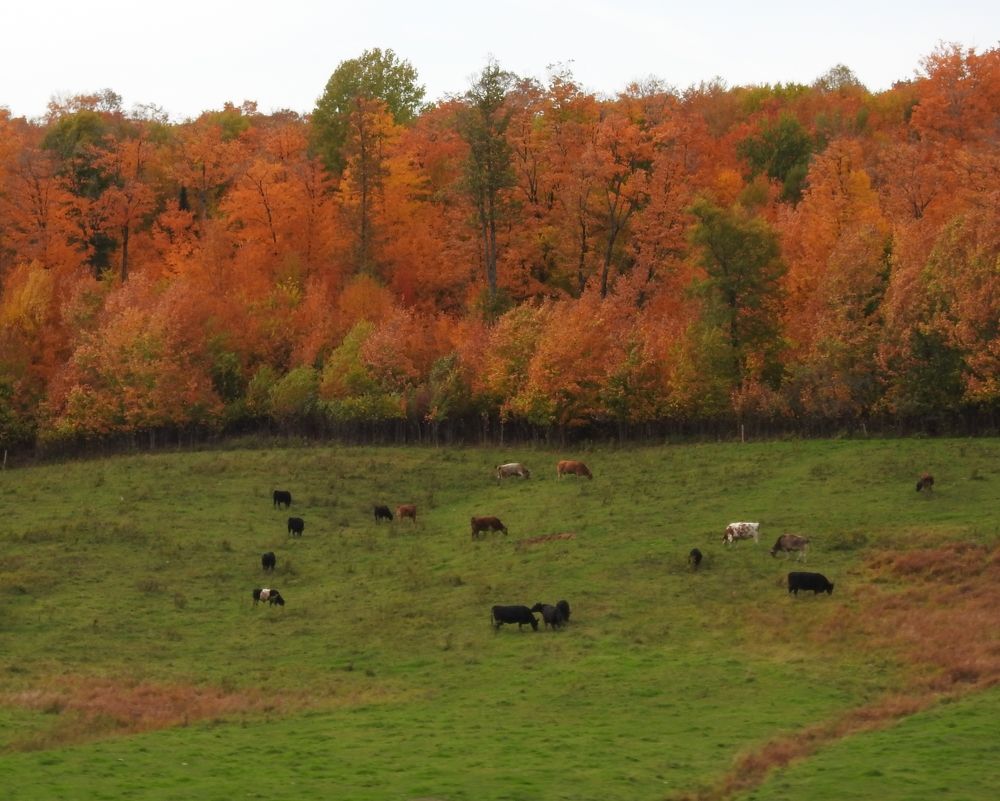 Photograph by Josée Beauchemin