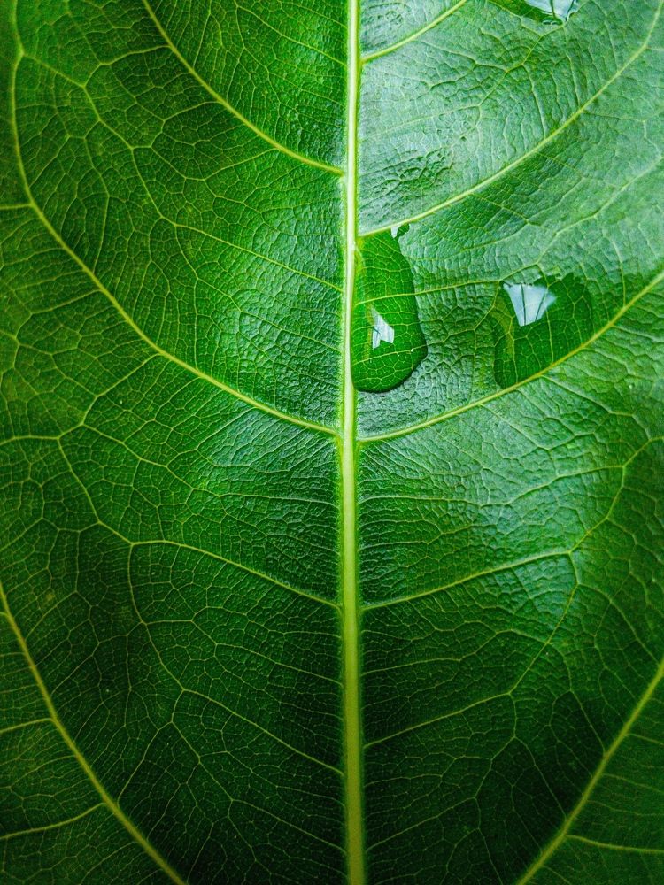 Photograph by Валерия Кузнецова