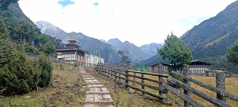 Photo #6639429