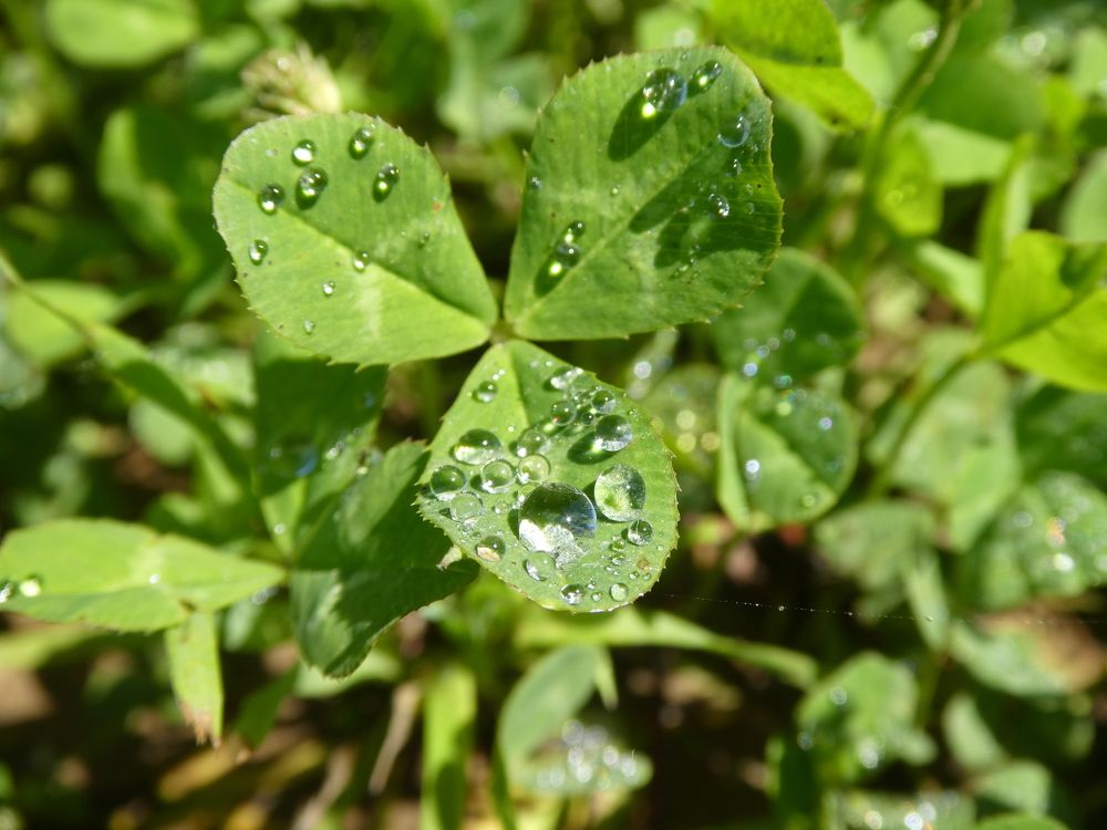Photograph by Андрей Садчиков