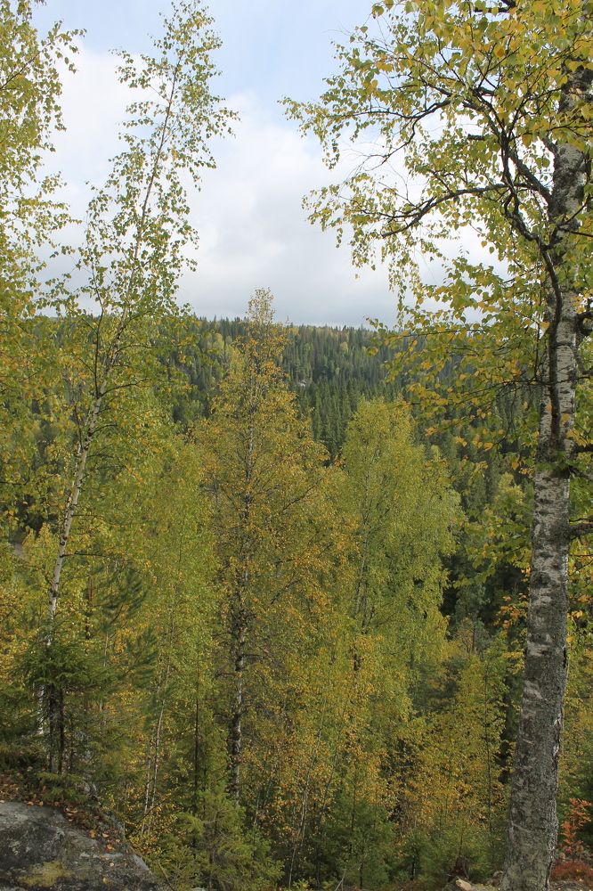 Photograph by Екатерина Хозяшева