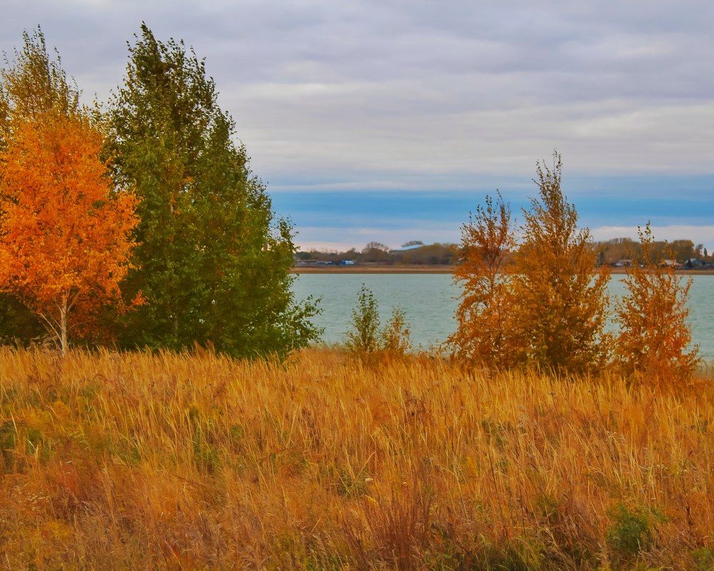 Photograph by Алия Аткельтирова