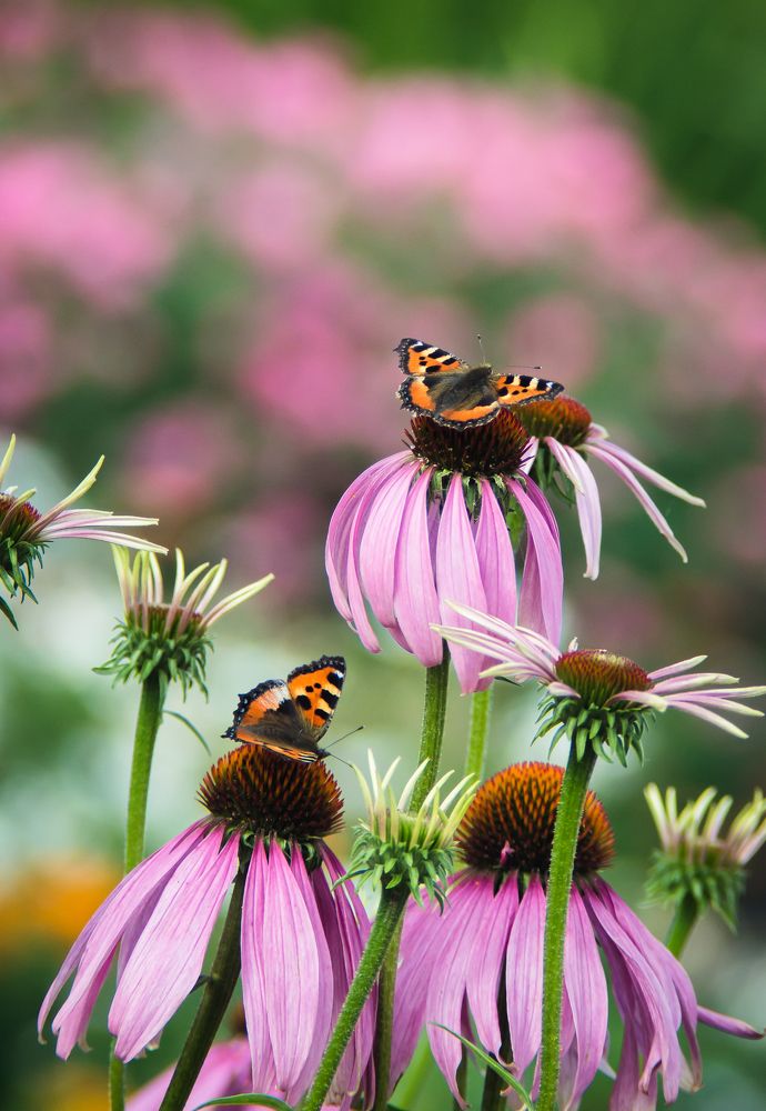 Photograph by Андрей Красников