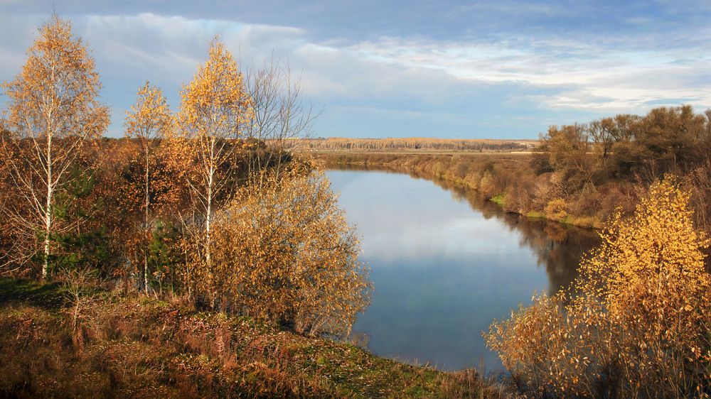 Photograph by Людмила Железнова