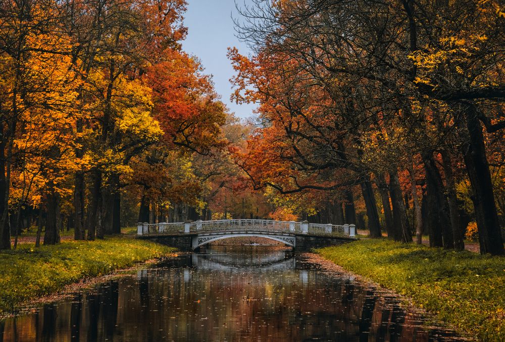 Photograph by Майя Афзаал