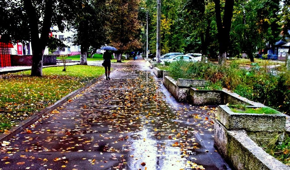 Photograph by леонид натапов