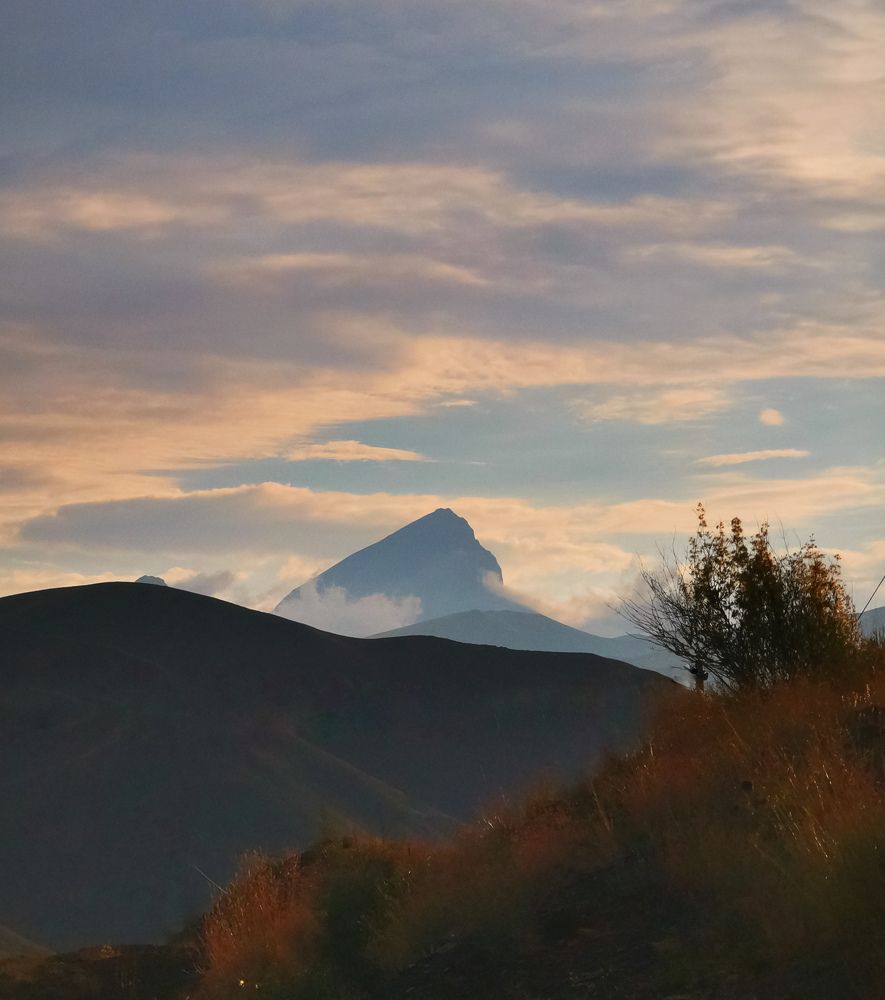 Фотография автора amir shafahi