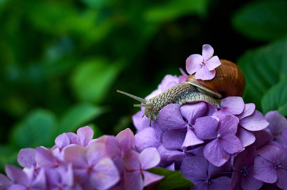 Фотография автора Дарина Матасова