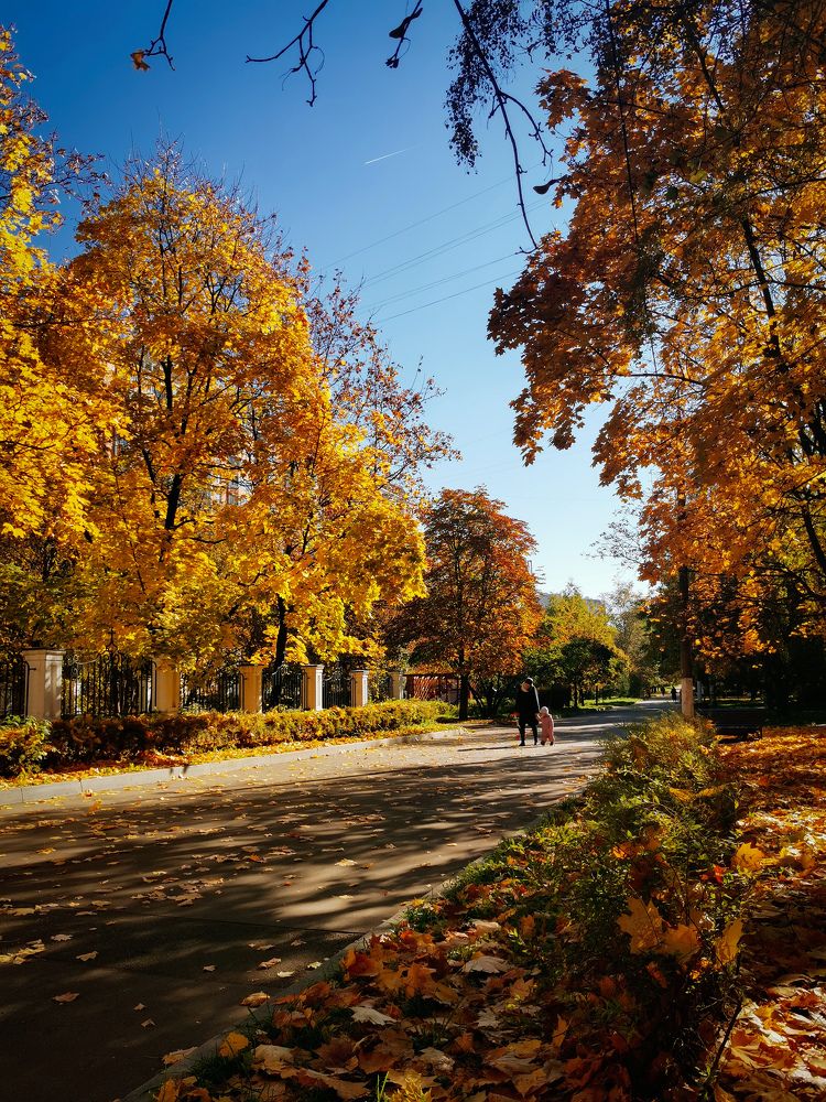 Photograph by Екатерина Слепнева