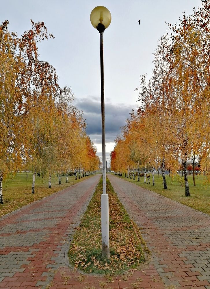 Photograph by Юля Хатыпова