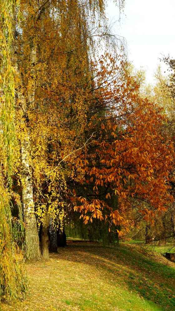 Photograph by Юля Хатыпова