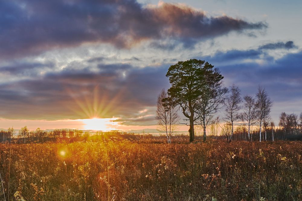 Photograph by Андрей Колеватов