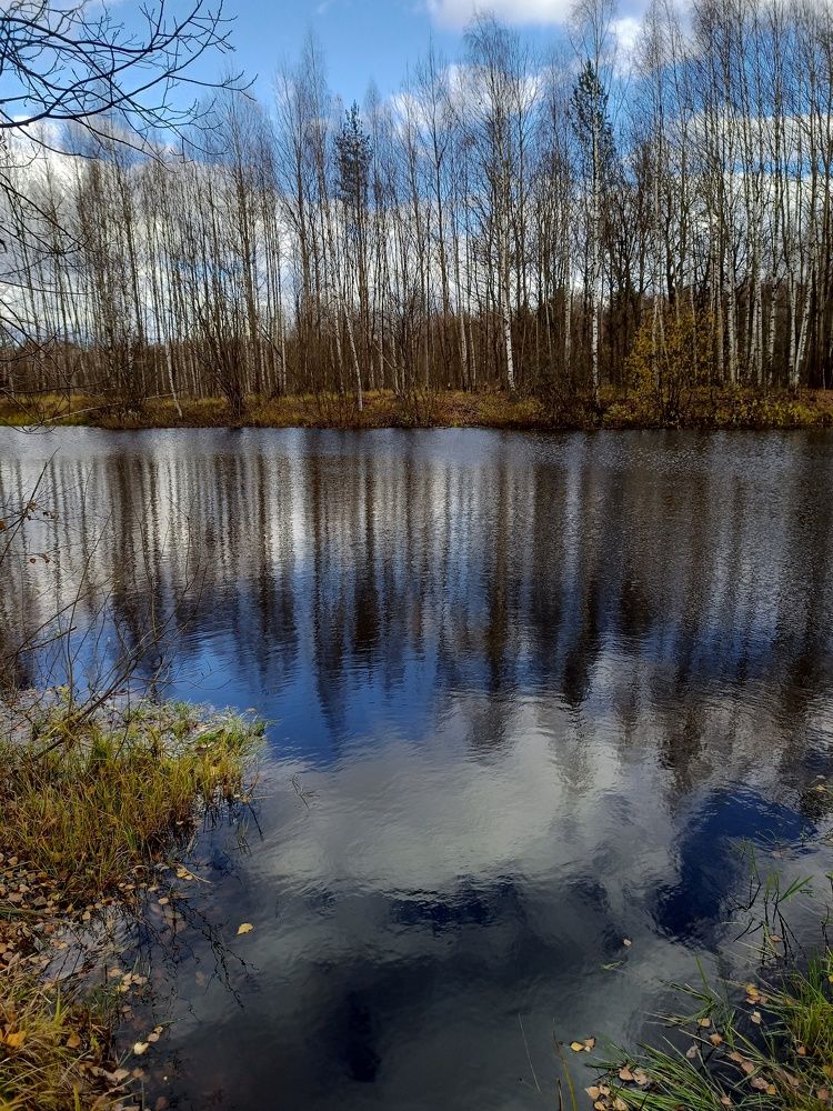 Photograph by Марина Рукавичко