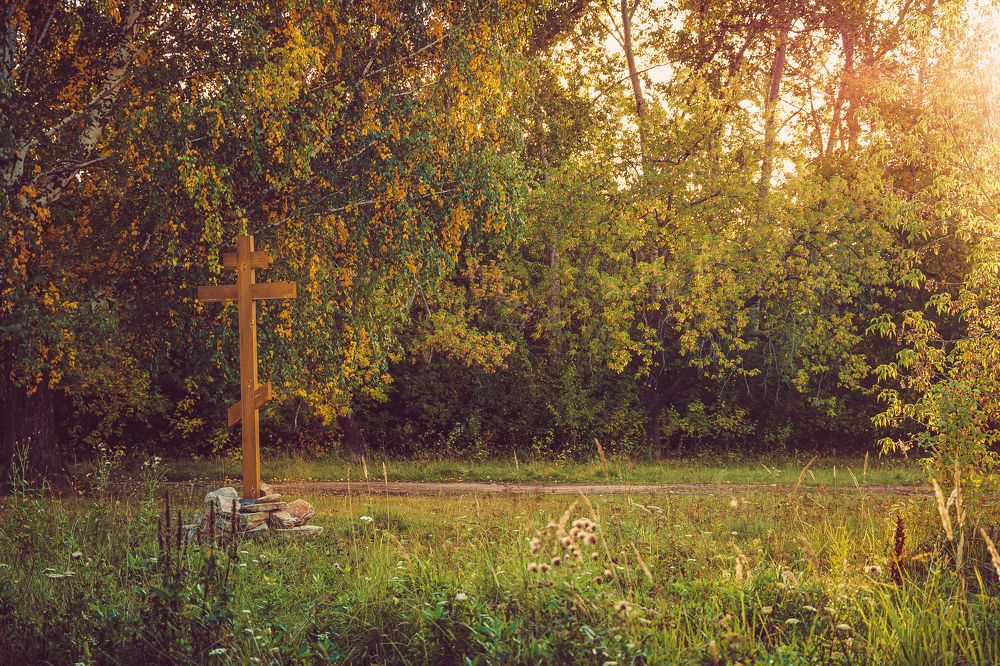 Photograph by Илья Борзенков
