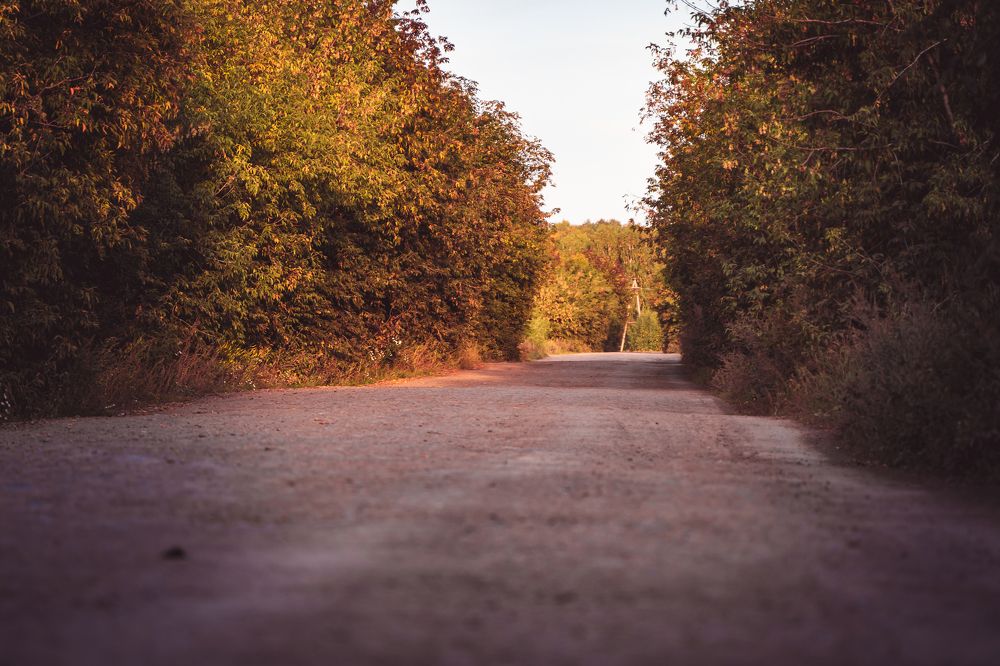 Photograph by Илья Борзенков