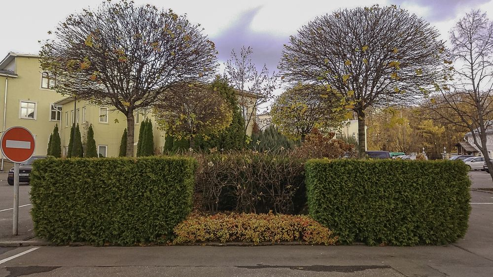 Идеальный сад