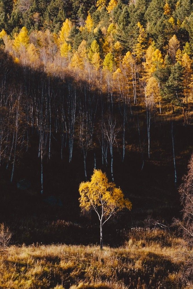 Photograph by Анна Дубровская