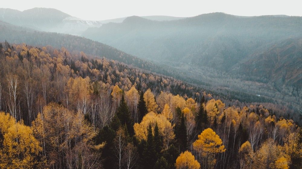 Photograph by Анна Дубровская