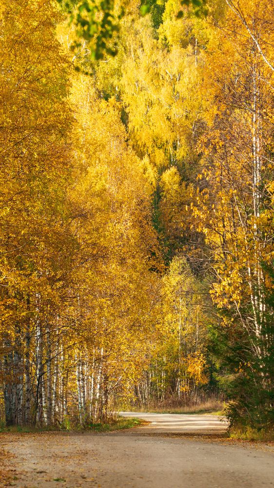 Photograph by Анна Майорова