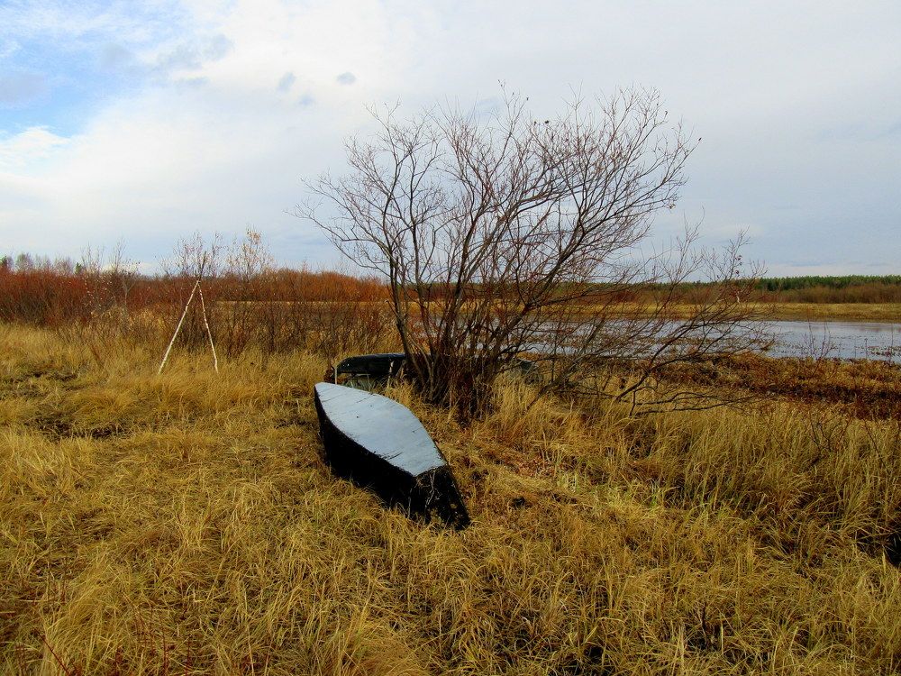 Photograph by Ирина Осипова