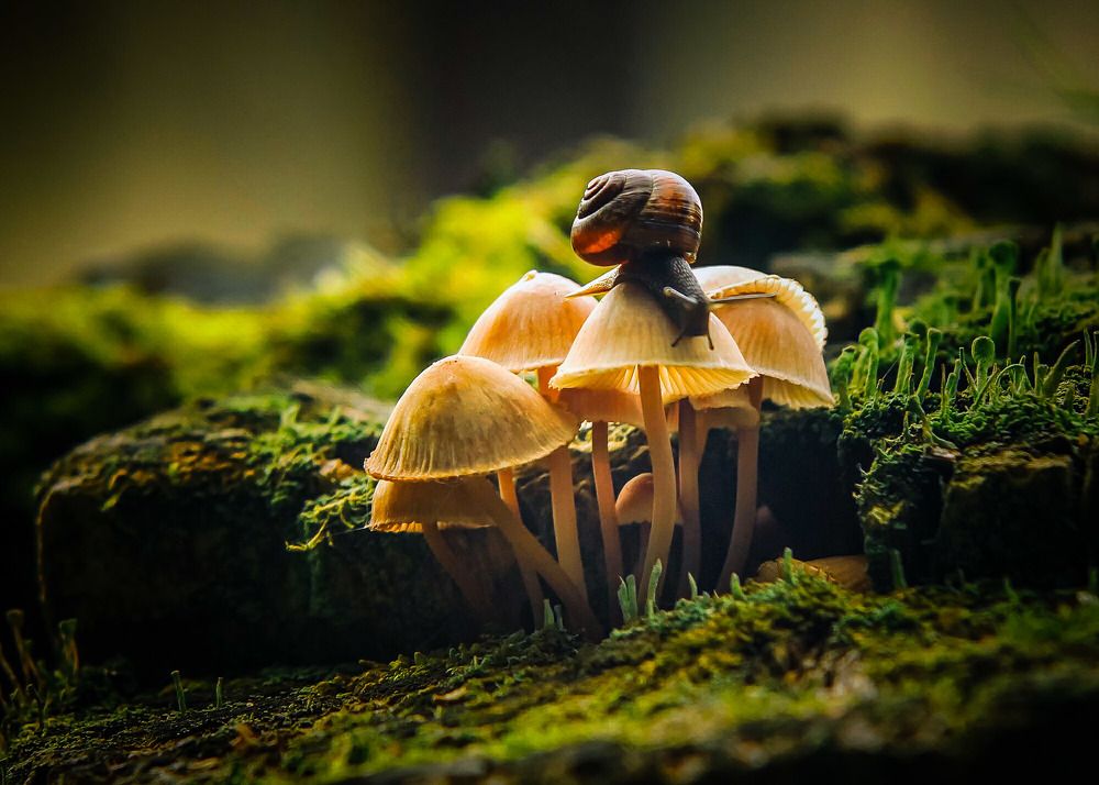 Photograph by Татьяна Шандромайло