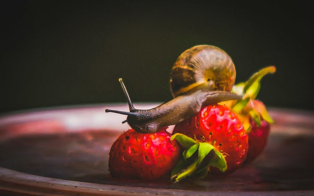 Photograph by Татьяна Шандромайло