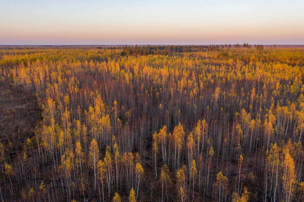 Photograph by Баландин Дмитрий