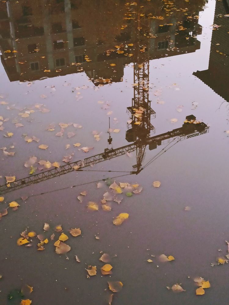 Photograph by Natalie Dmay