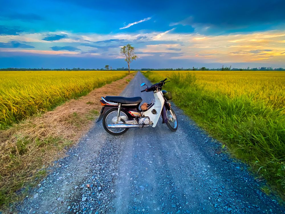 Photograph by DINH LE QUOC