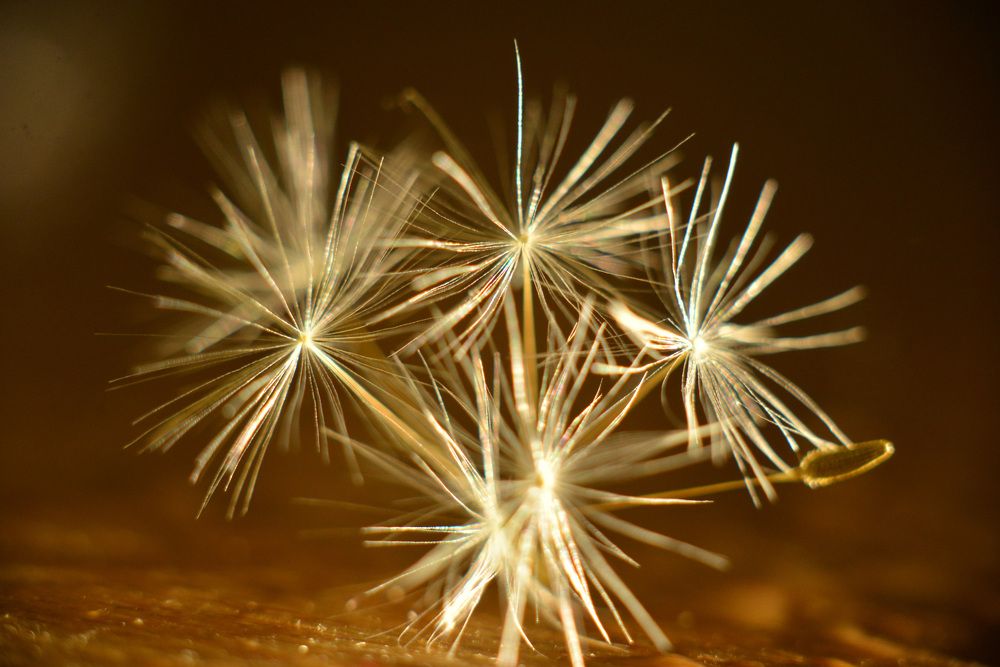 Photograph by Ольга Темкина