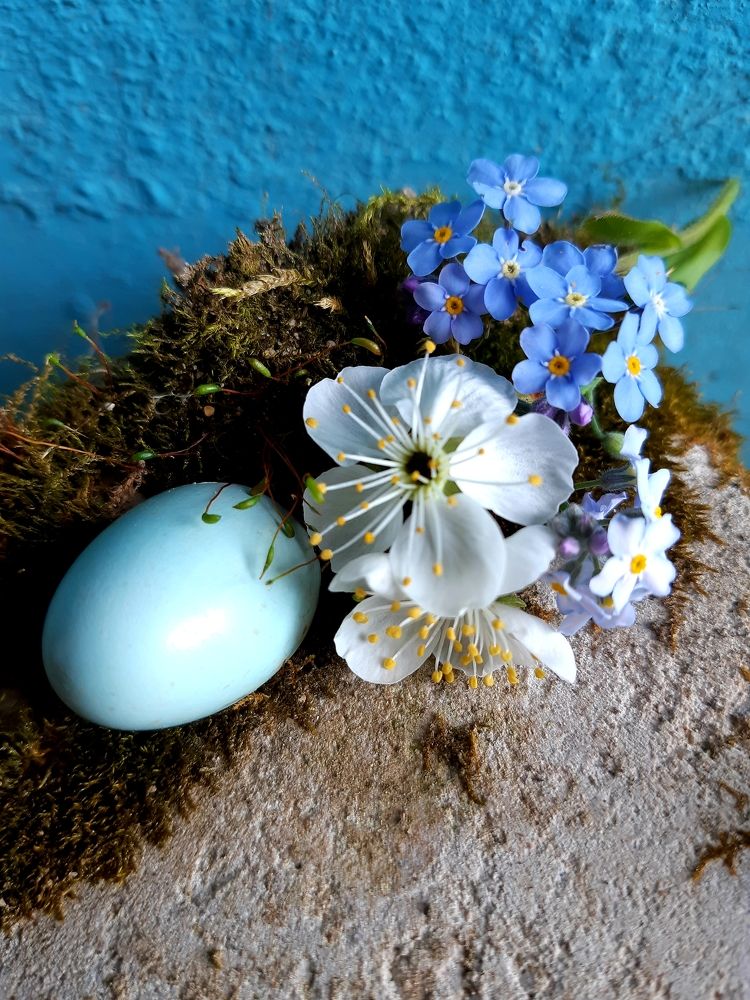 Фотография автора Ирина Лукьянчик