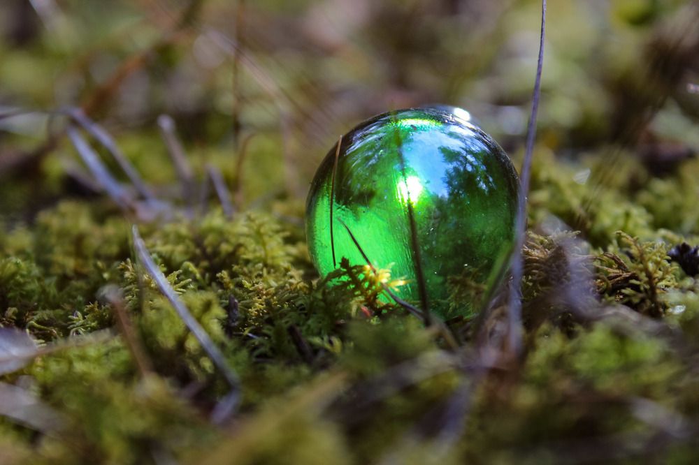 Photograph by Анастасия Чадина