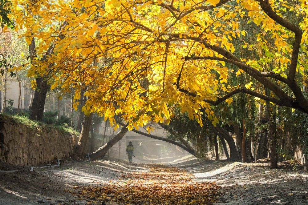 Photograph by safoura asghari