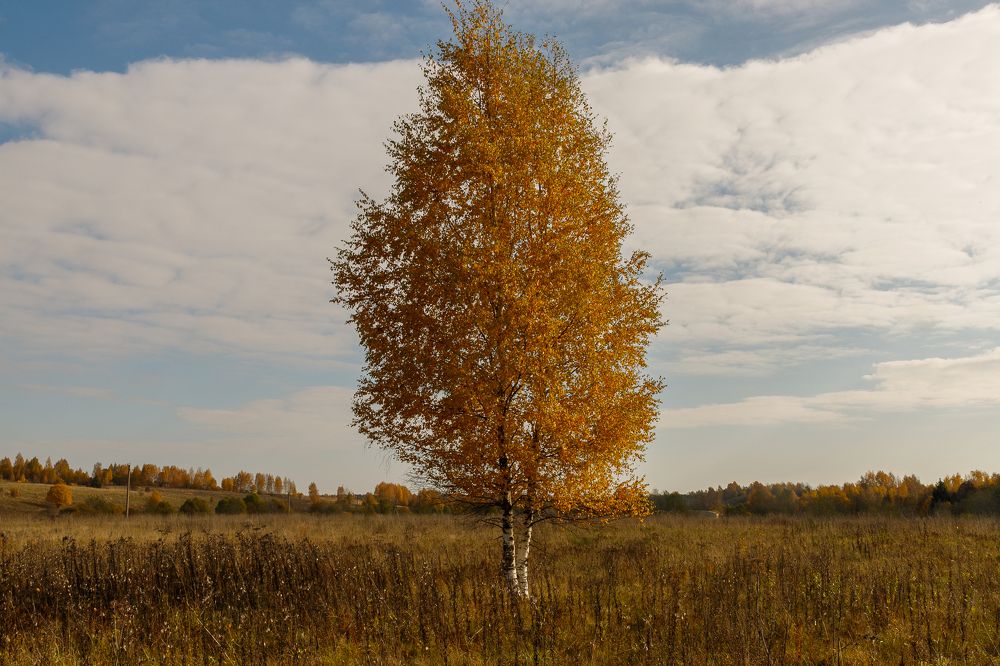 Photograph by Сергей Пшенов