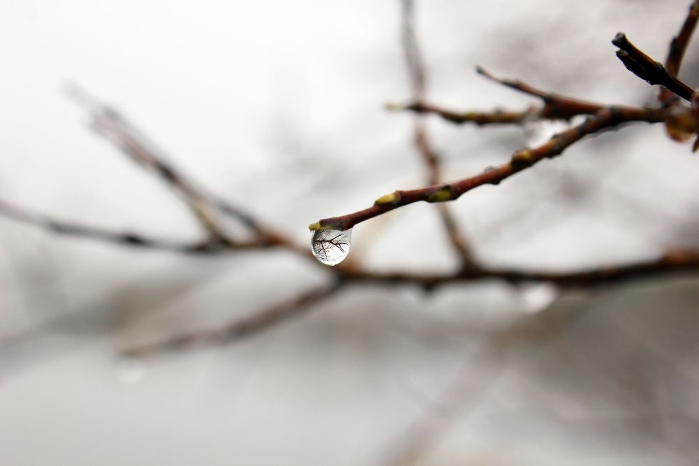 Photograph by Чурсинова Юлия