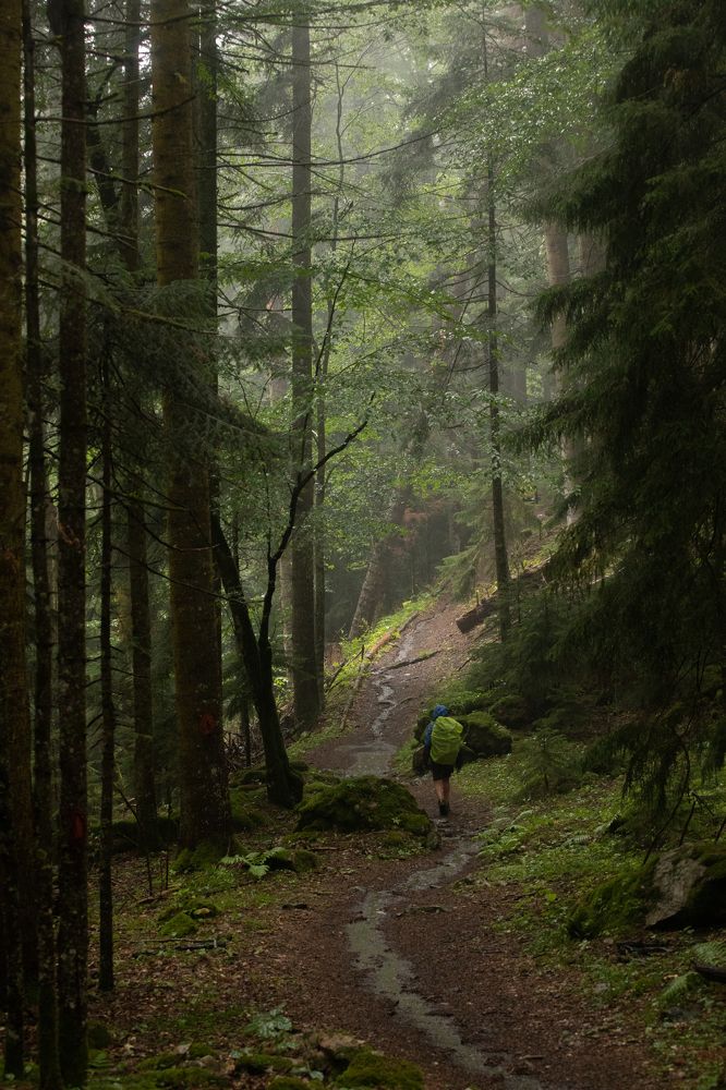 По тропе, вдоль реки Малая Лаба