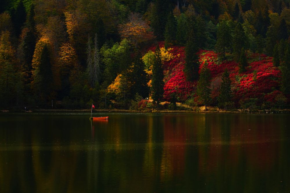 Photograph by Nuket Uluc