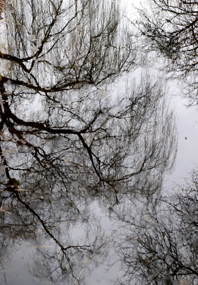 Photograph by Андрей Телибаев